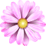 hero flower small 2